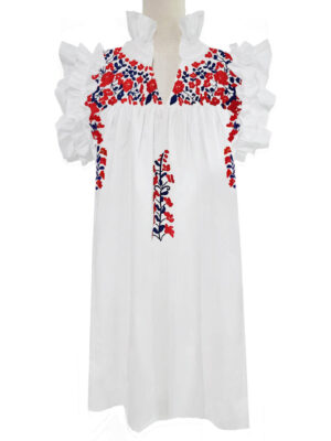 Red and Blue Embroidered Dress