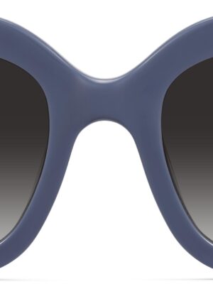 Gabriela Blue framed sunnies