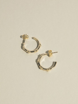 Hydrangea Hoops from the coolest female founder