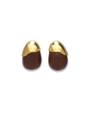Toro Earrings