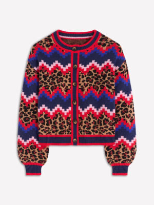 Love the geometric lines and leopard interspersed.