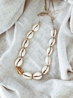 White cowrie shell choker necklace