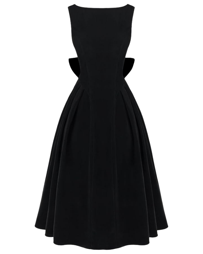 Black sleeveless a line dress with a fitted bodice and full mid length skirt elegant evening style Tldr yes you can repeat a winter wedding guest dress In one poll 71 of adults said they wouldnt notice The more of the same guests the more you change Swap the belt shoes and earrings and top your winter wedding guest outfit with velvet or satin Poll two looks crown the winner and note  adjust my crown
